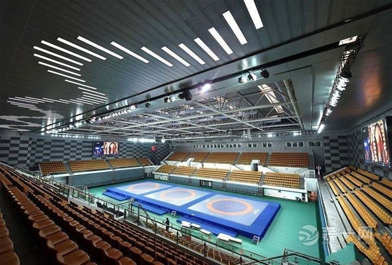 Q345 Stadium Steel Structure Design Long Span 50mm 0.8mm Roof For Building