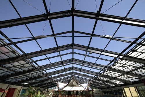 Roof Skylights For Botanical Gardens Maximizing Natural Light For Flourishing Plant Life