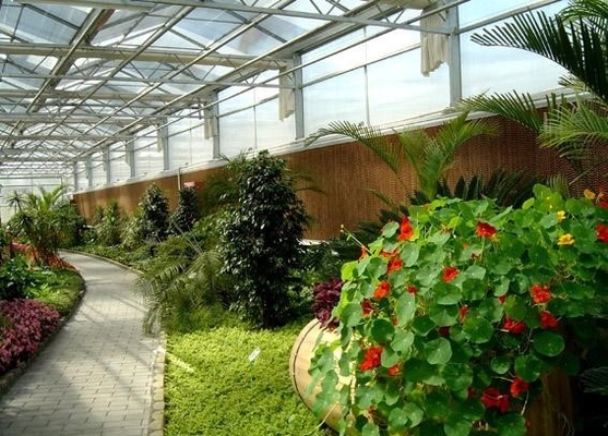 Roof Skylights For Botanical Gardens Maximizing Natural Light For Flourishing Plant Life