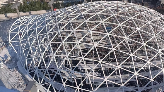 CE Certified Steel Structure Building for Warehouse and House