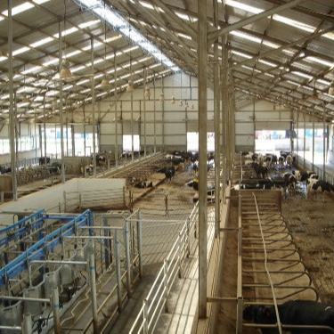 Custom Steel Structure Poultry House with Quick Installation