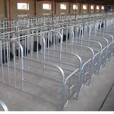 Custom Steel Structure Poultry House with Quick Installation