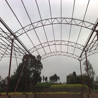 Grey EPS Q235 Steel Space Frame with 15-21 Days Delivery for Indoor Water Theme Park